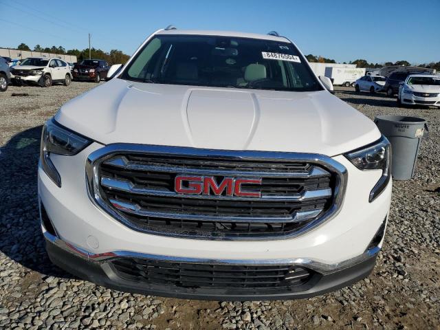 3GKALVEV7LL175645  - GMC TERRAIN SL  2020 IMG - 4