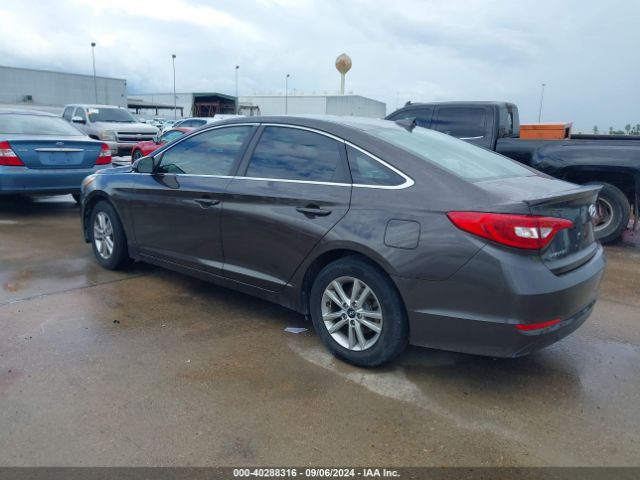 5NPE24AF1HH563566  - HYUNDAI SONATA  2017 IMG - 2