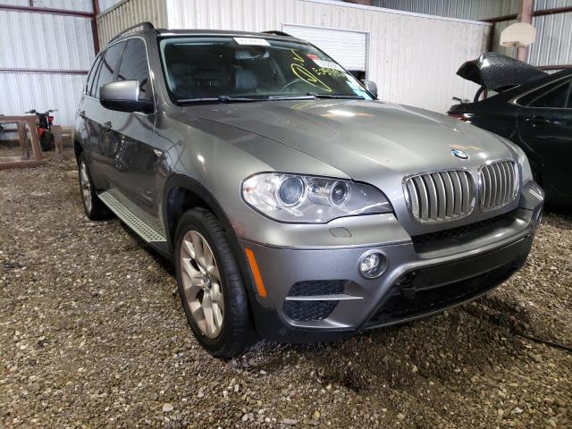 5UXZV4C52D0E05386 AI1391MT - BMW X5  2013 IMG - 0