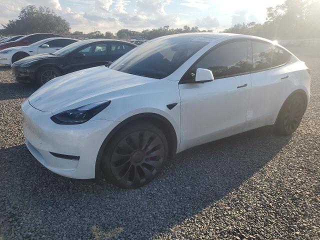 7SAYGDEF9RA278008  - TESLA MODEL Y  2024 IMG - 0