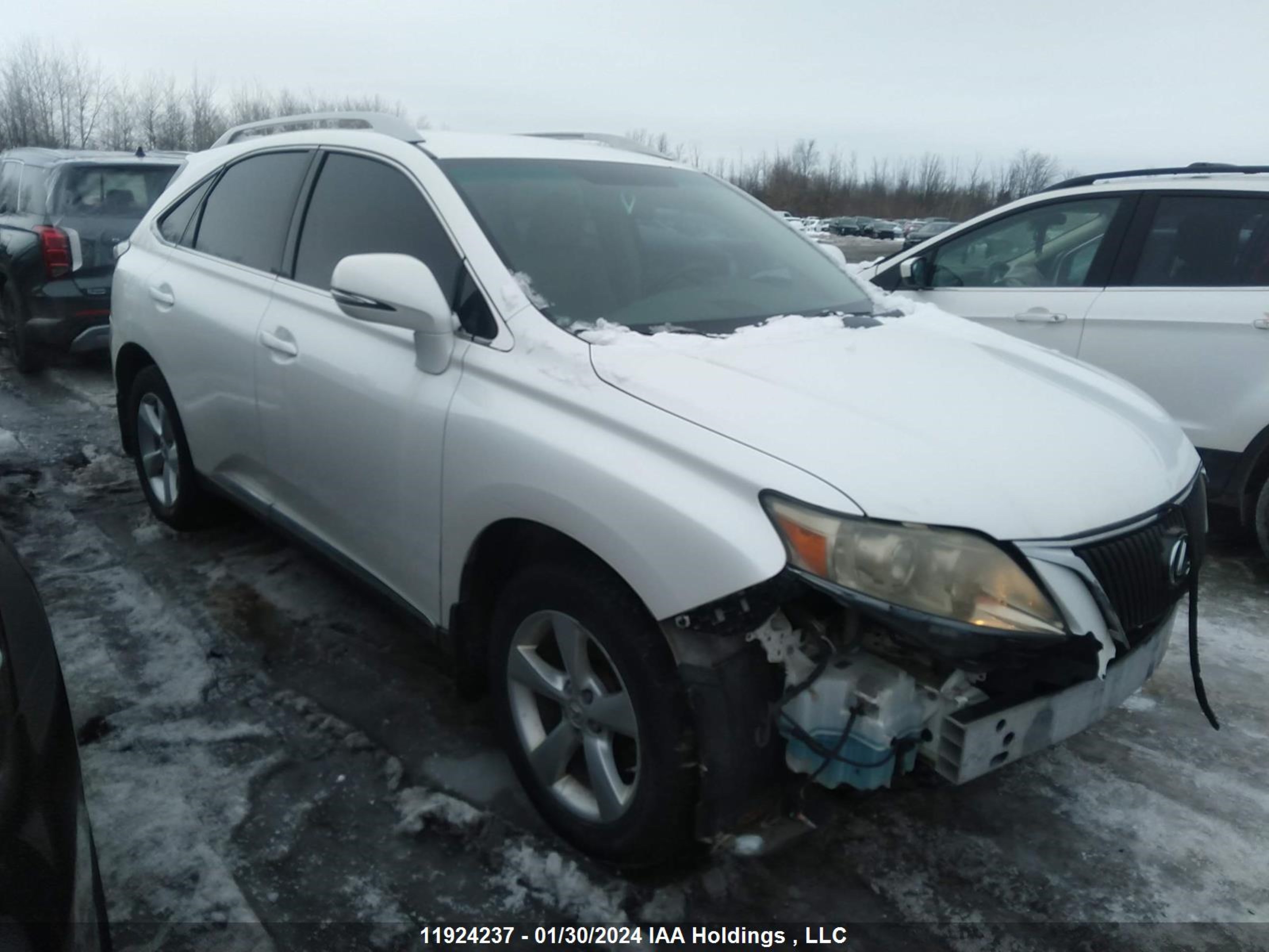 JTJBK1BA9A2405064  - LEXUS RX  2010 IMG - 0