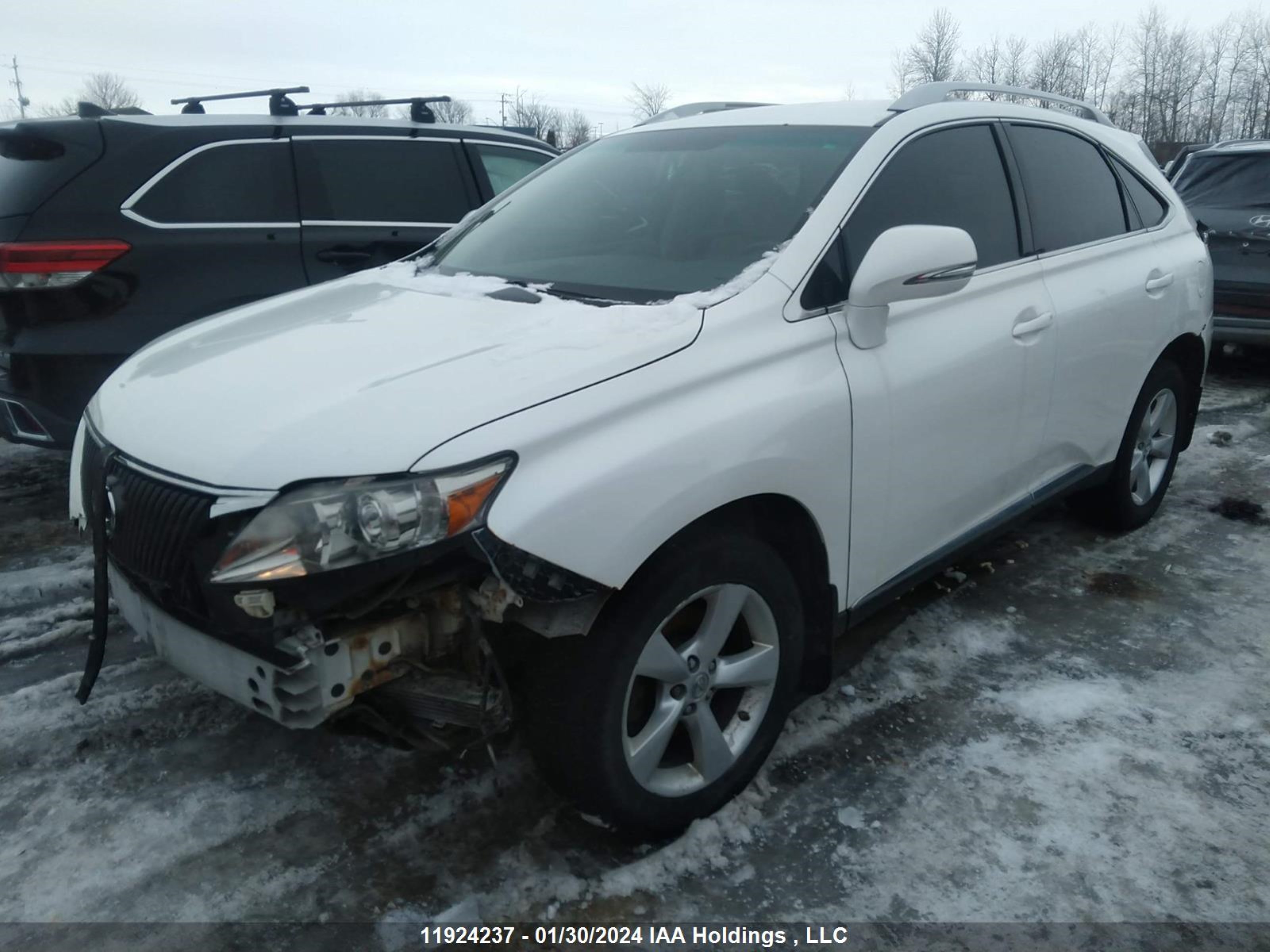 JTJBK1BA9A2405064  - LEXUS RX  2010 IMG - 1