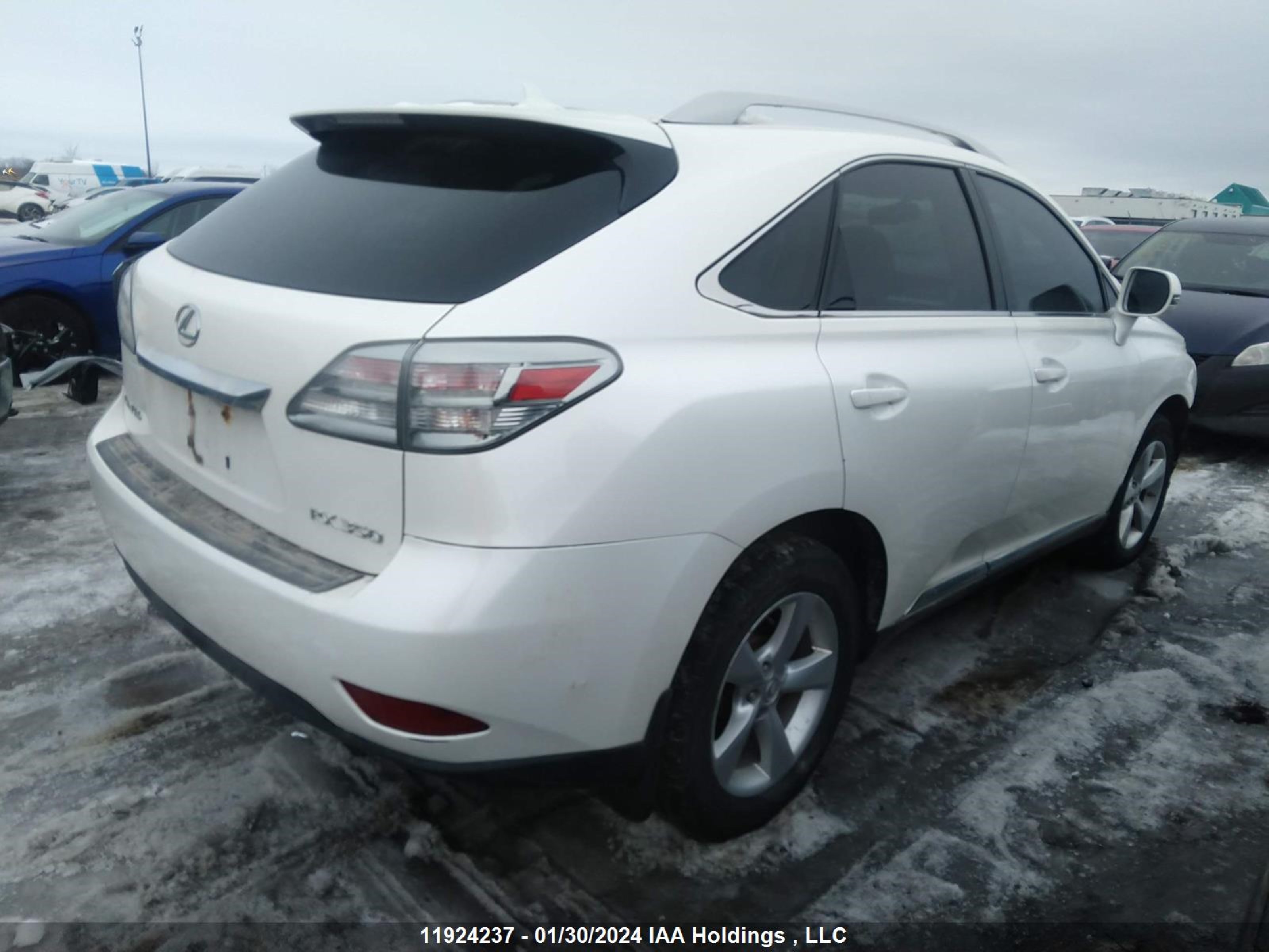 JTJBK1BA9A2405064  - LEXUS RX  2010 IMG - 3