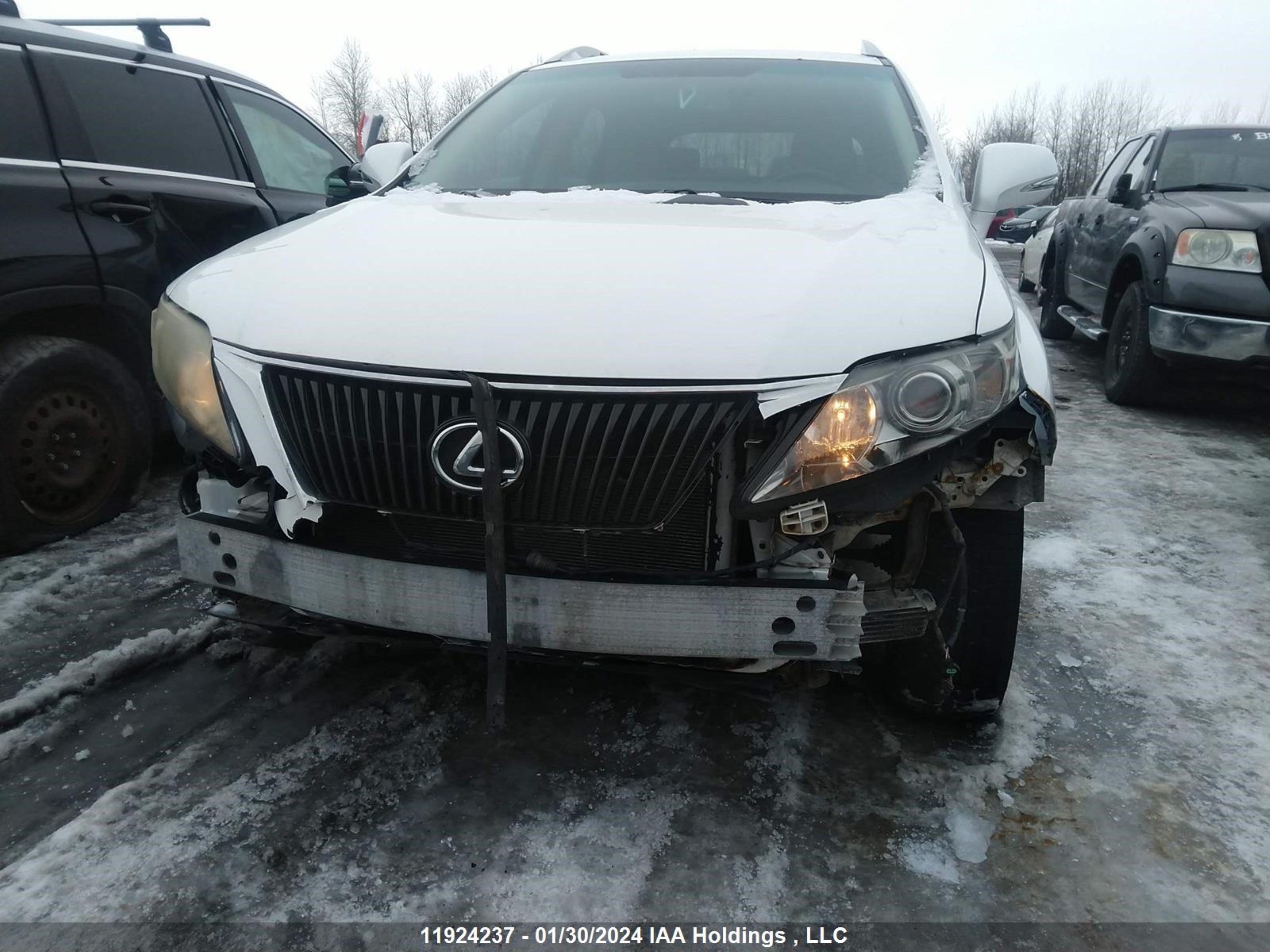 JTJBK1BA9A2405064  - LEXUS RX  2010 IMG - 5