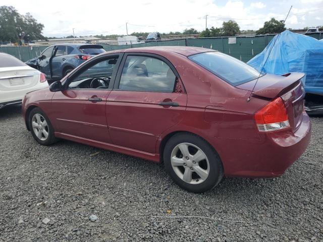 KNAFE121785019129  - KIA SPECTRA  2008 IMG - 1