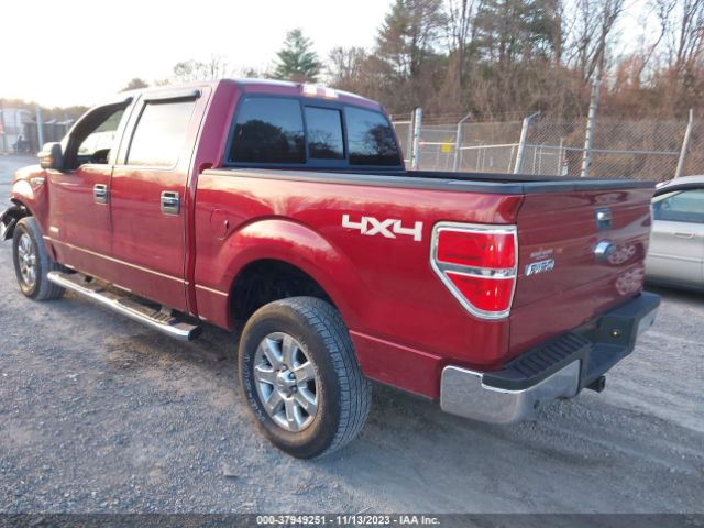1FTFW1ET8DFC32057  - FORD F-150  2013 IMG - 2