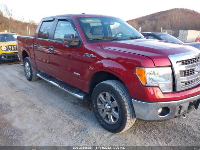 1FTFW1ET8DFC32057  - FORD F-150  2013 IMG - 0
