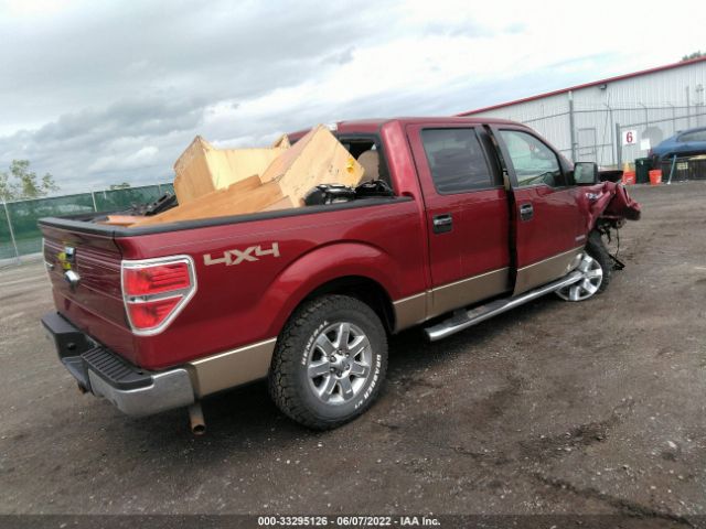 1FTFW1ET2DFD39377  - FORD F-150  2013 IMG - 3