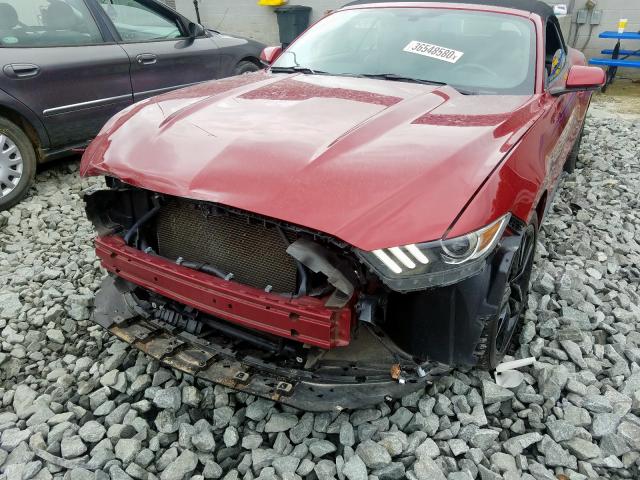 1FATP8UH9G5309198 AB3501IC - FORD MUSTANG  2016 IMG - 8