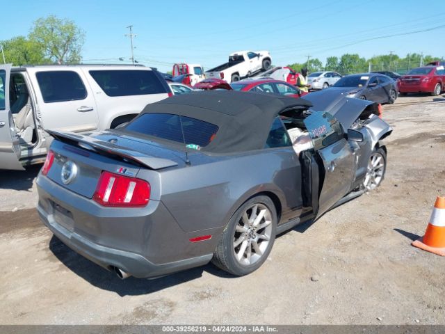 1ZVBP8FH4A5181377  - FORD MUSTANG  2010 IMG - 3