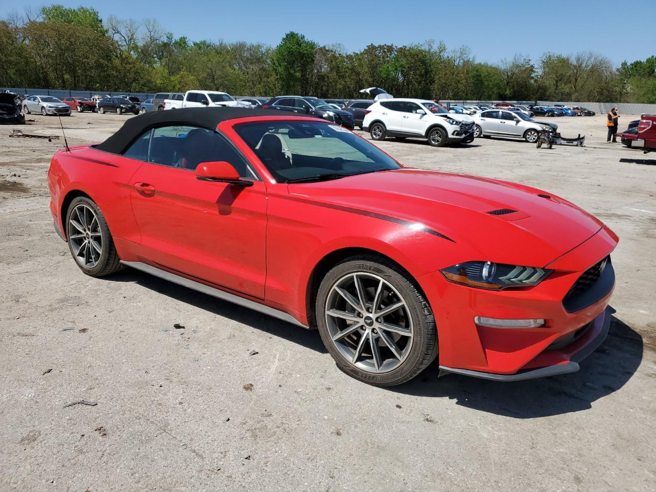 1FATP8UH2K5150131  - FORD MUSTANG  2019 IMG - 3