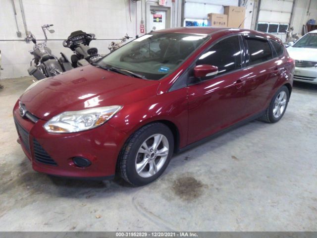 1FADP3K20DL279893  - FORD FOCUS  2013 IMG - 1
