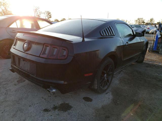 1ZVBP8AM9E5309736  - FORD MUSTANG  2014 IMG - 2