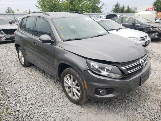 WVGHV3AXXEW609680 BX9512NA - VOLKSWAGEN TIGUAN  2014 IMG - 0