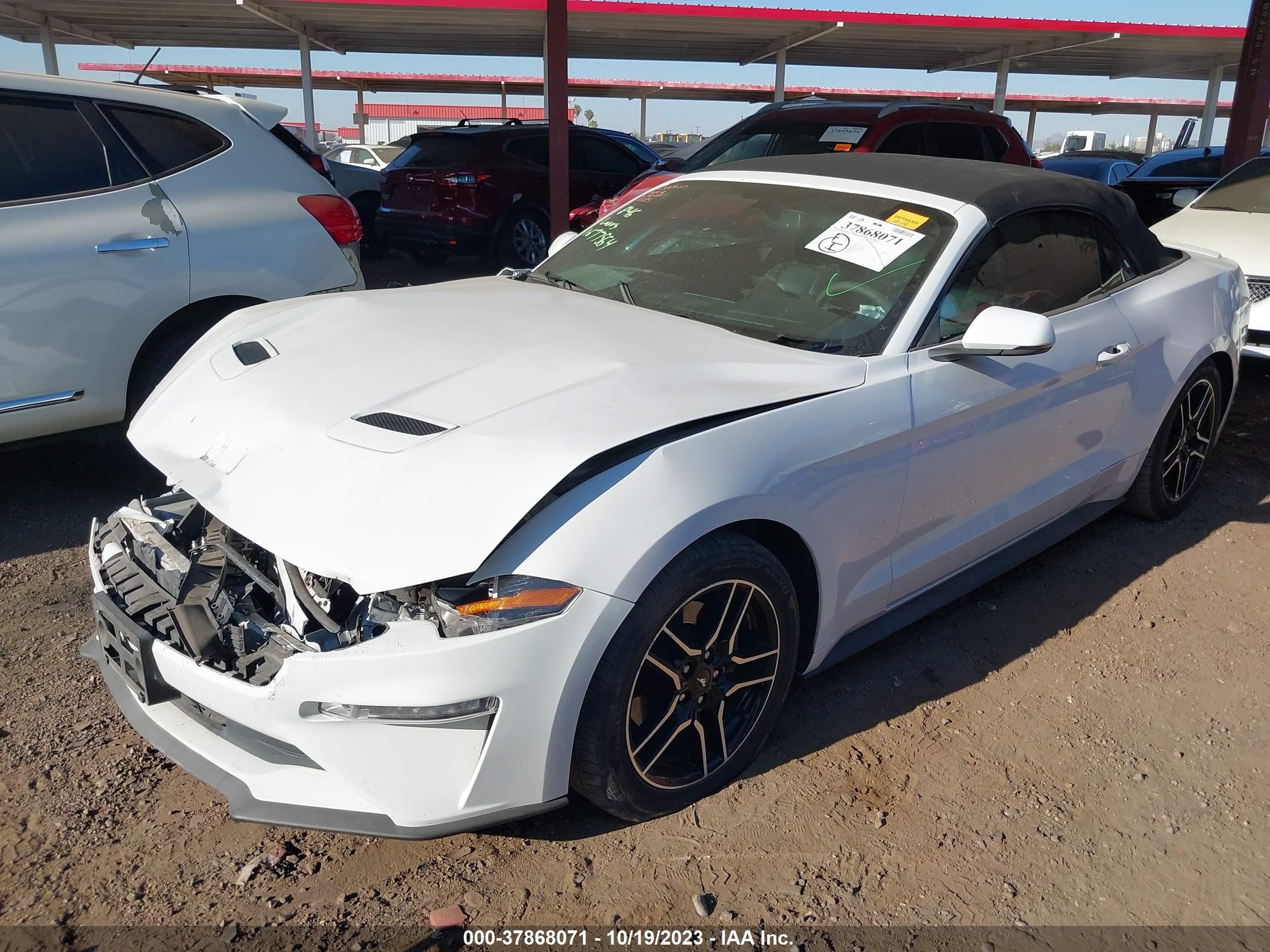 1FATP8UH6K5138385  - FORD MUSTANG  2019 IMG - 1