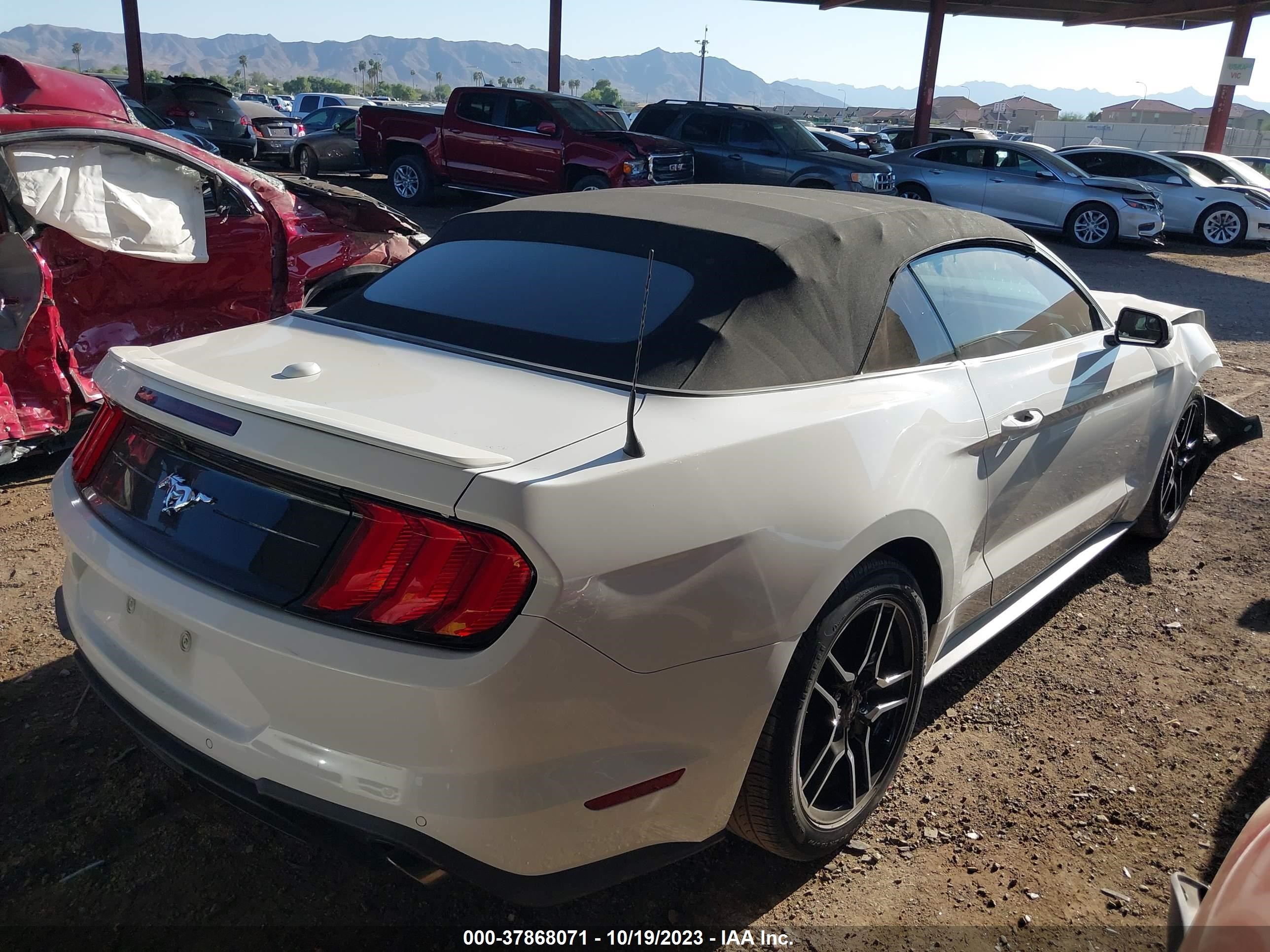 1FATP8UH6K5138385  - FORD MUSTANG  2019 IMG - 3