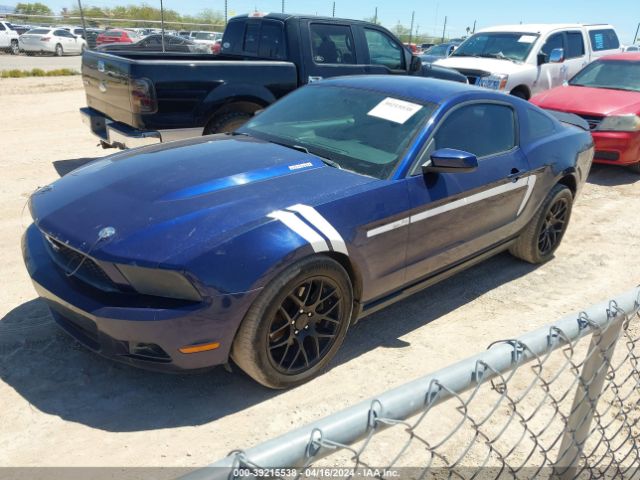 1ZVBP8AM7C5260419  - FORD MUSTANG  2012 IMG - 1