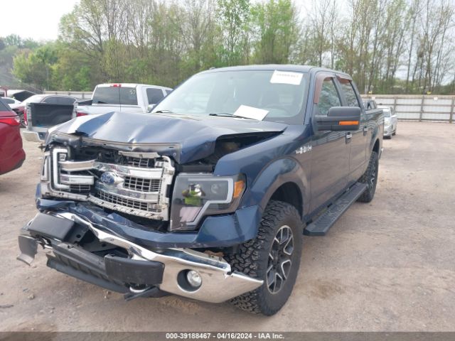 1FTFW1EF9DFB26677  - FORD F-150  2013 IMG - 1