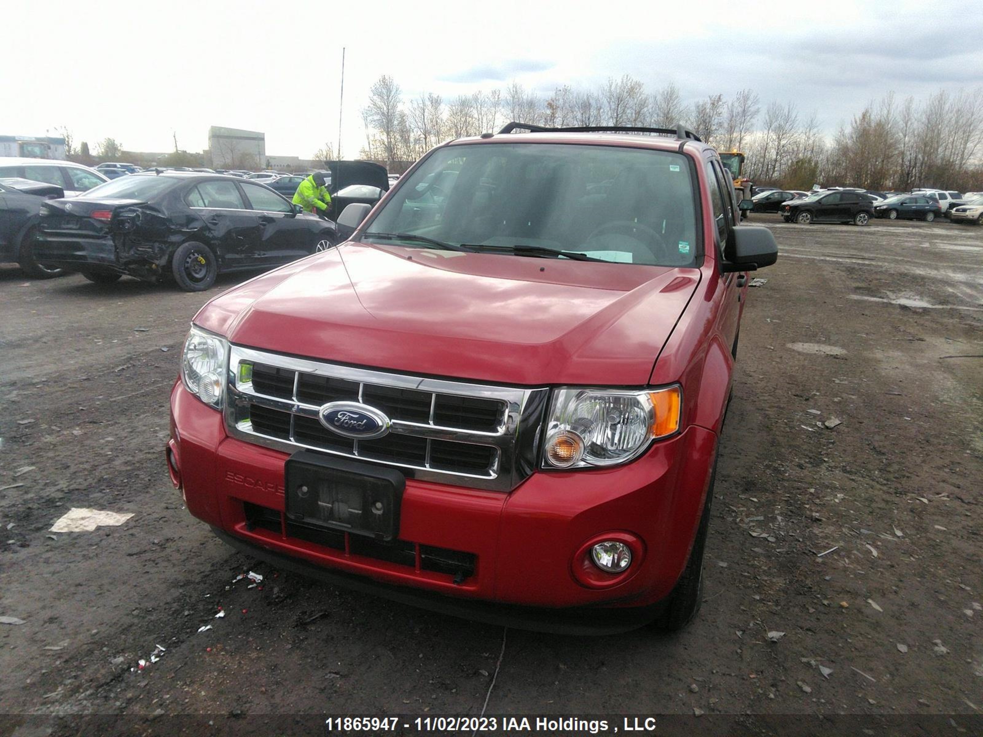1FMCU93G29KC83884  - FORD ESCAPE  2009 IMG - 5
