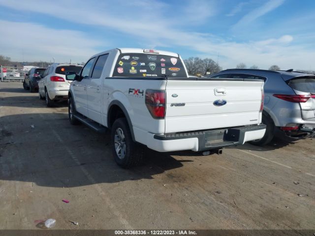 1FTFW1EF2BFB20426  - FORD F-150  2011 IMG - 2