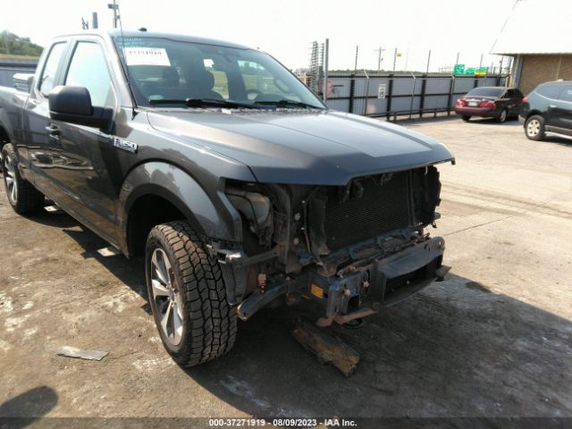 1FTEX1EP1KKD88876  - FORD F-150  2019 IMG - 0