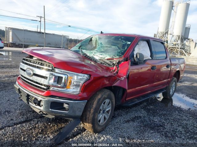 1FTEW1E50KFD26752  - FORD F-150  2019 IMG - 5