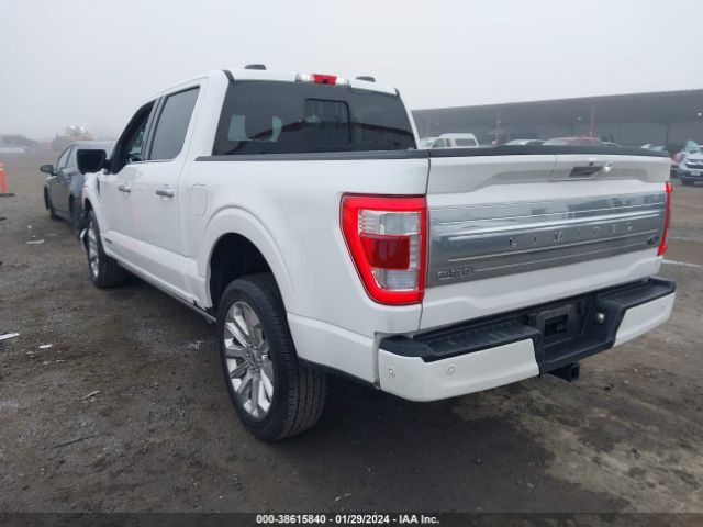 1FTFW1ED7MFD05914  - FORD F-150  2021 IMG - 2