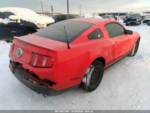 1ZVBP8AM8C5272658  - FORD MUSTANG  2012 IMG - 3