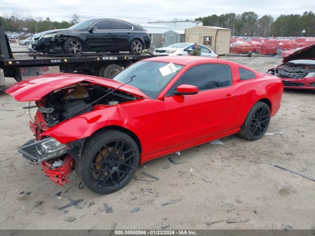 1ZVBP8AM3E5302314  - FORD MUSTANG  2014 IMG - 1