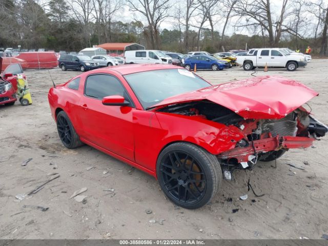 1ZVBP8AM3E5302314  - FORD MUSTANG  2014 IMG - 0