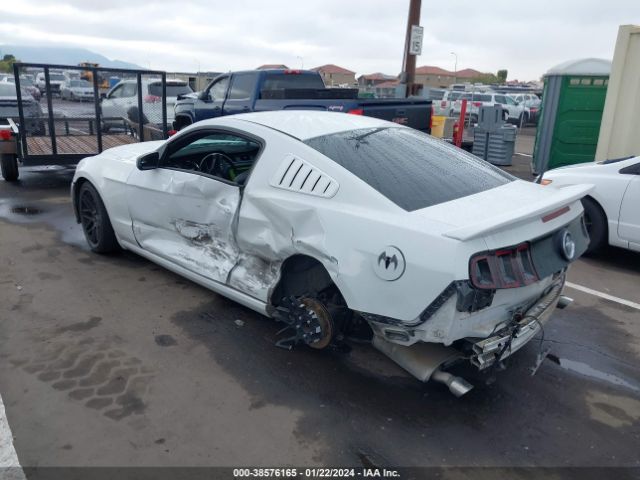 1ZVBP8AM2E5285103  - FORD MUSTANG  2014 IMG - 2