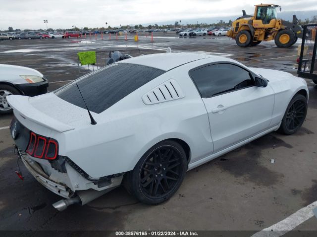 1ZVBP8AM2E5285103  - FORD MUSTANG  2014 IMG - 3