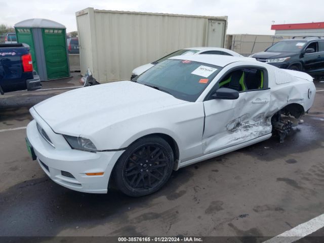 1ZVBP8AM2E5285103  - FORD MUSTANG  2014 IMG - 1
