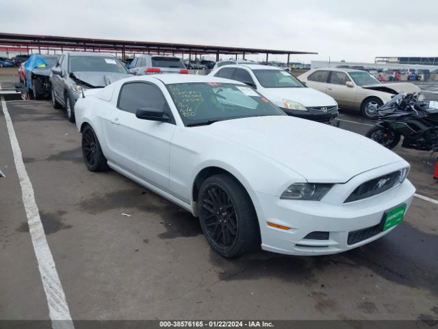 1ZVBP8AM2E5285103  - FORD MUSTANG  2014 IMG - 0