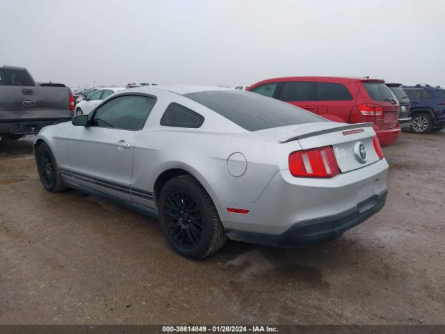 1ZVBP8AN8A5130851  - FORD MUSTANG  2010 IMG - 2