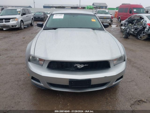 1ZVBP8AN8A5130851  - FORD MUSTANG  2010 IMG - 5