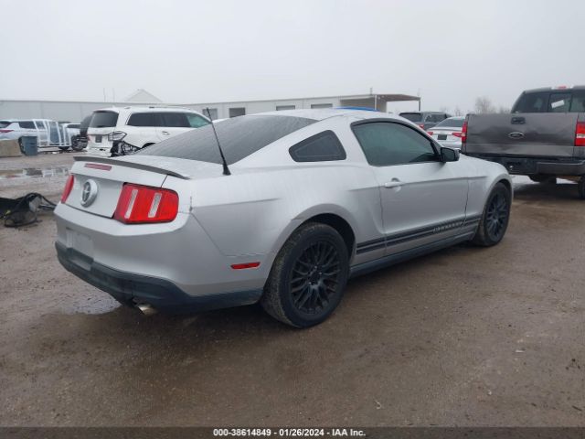 1ZVBP8AN8A5130851  - FORD MUSTANG  2010 IMG - 3