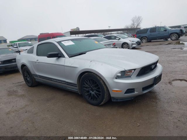 1ZVBP8AN8A5130851  - FORD MUSTANG  2010 IMG - 0
