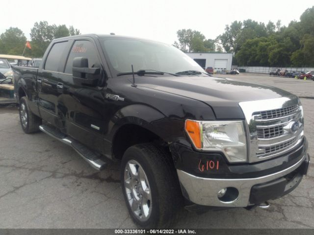 1FTFW1ET4DFC70949  - FORD F-150  2013 IMG - 0