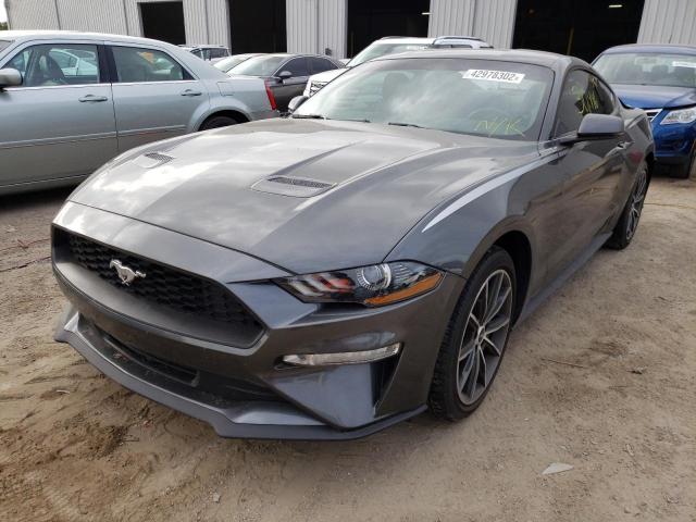 1FA6P8TH0K5178086  - FORD MUSTANG  2019 IMG - 1