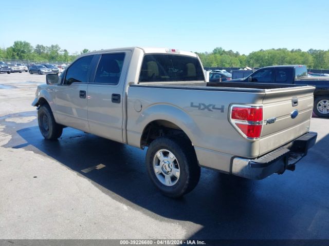 1FTFW1EV8AFD64300  - FORD F-150  2010 IMG - 2