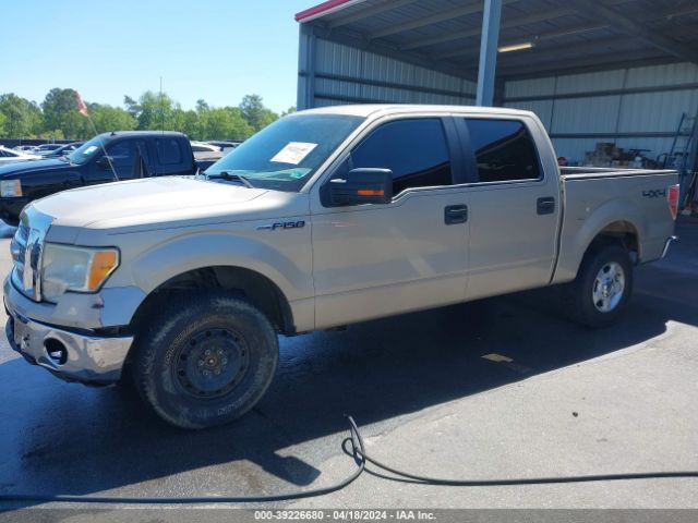 1FTFW1EV8AFD64300  - FORD F-150  2010 IMG - 1