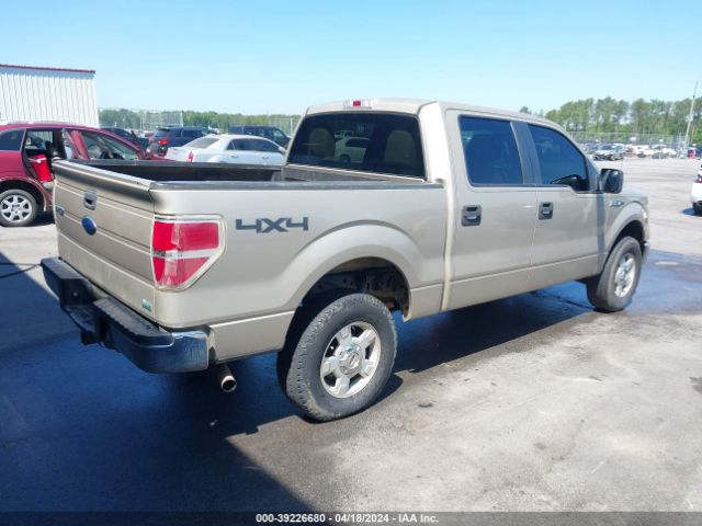 1FTFW1EV8AFD64300  - FORD F-150  2010 IMG - 3