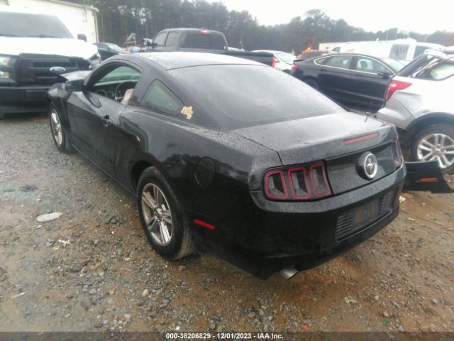 1ZVBP8AM6E5208959  - FORD MUSTANG  2014 IMG - 2