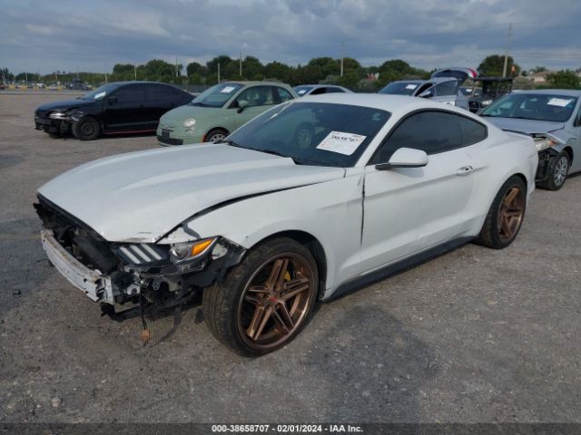 1FA6P8AM3G5331888  - FORD MUSTANG  2016 IMG - 1