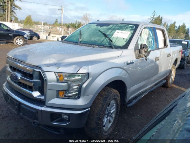 1FTEW1EFXFFB00443  - FORD F-150  2015 IMG - 1