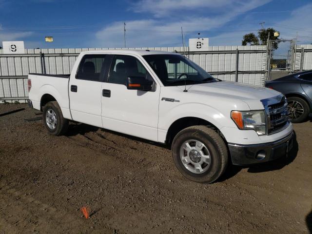 1FTEW1CM5DFB10196  - FORD F-150  2013 IMG - 3