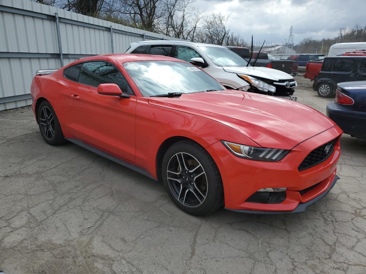 1FA6P8AM4F5354594  - FORD MUSTANG  2015 IMG - 3