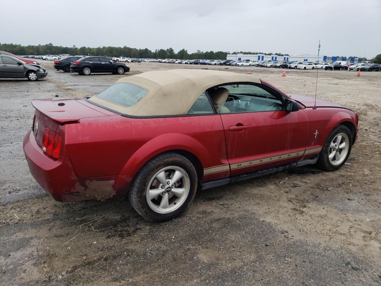 1ZVFT84NX75355628  - FORD MUSTANG  2007 IMG - 2