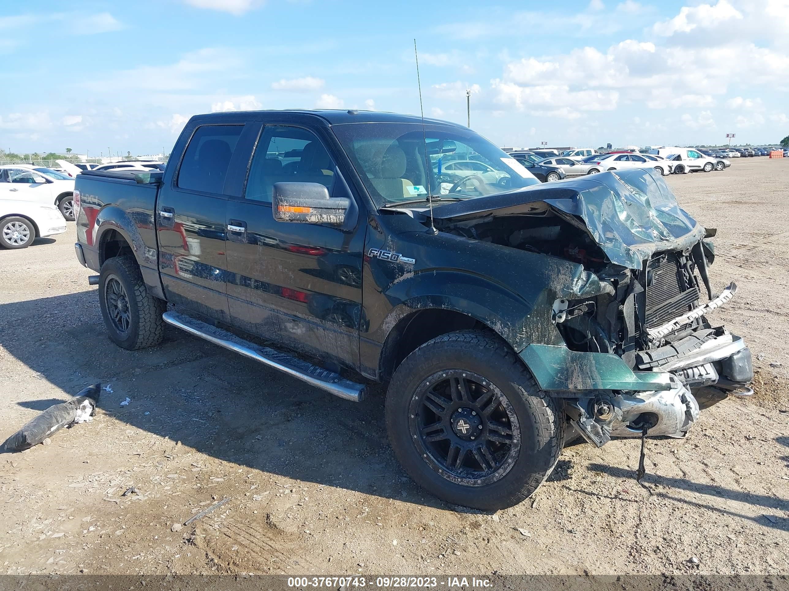 1FTFW1EF2DKD53488  - FORD F-150  2013 IMG - 0